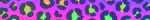 rainbow leopard print